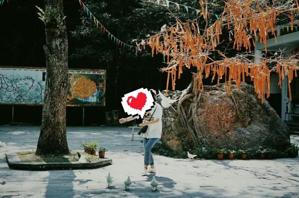 最后一站