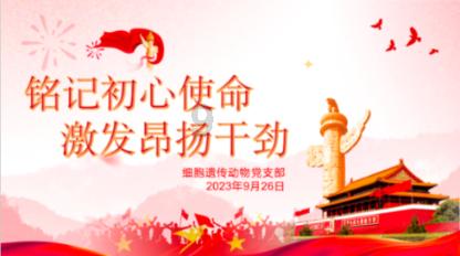 年货节：兰芳园瓶装燕麦奶茶邀你一起嗨不停